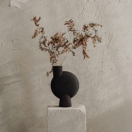 Consultations or Q&A Sessions